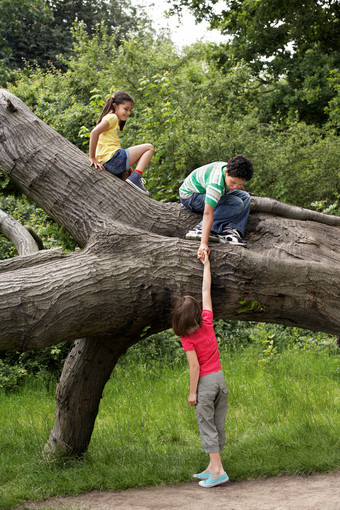 在树干上玩耍的孩子们
