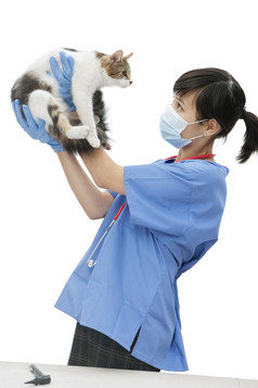 简约抱猫的兽医摄影图
