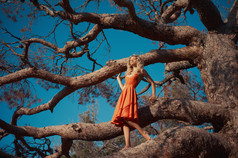 大树上的红裙女人