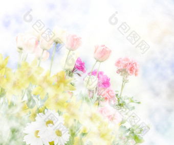 小清新花卉摄影图