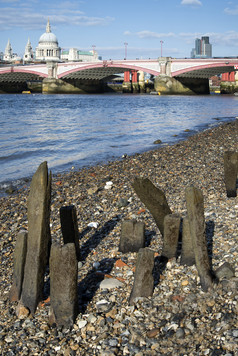 河边的石子朽木摄影图