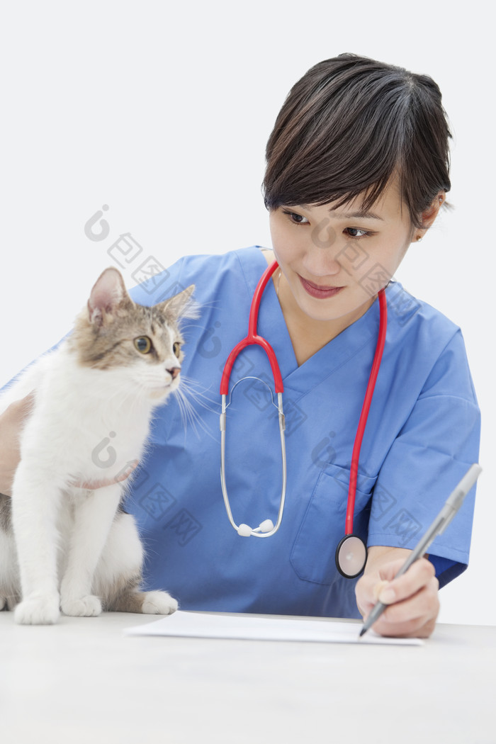 灰色调兽医和猫摄影图