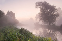 简约风秀丽的湿地摄影图