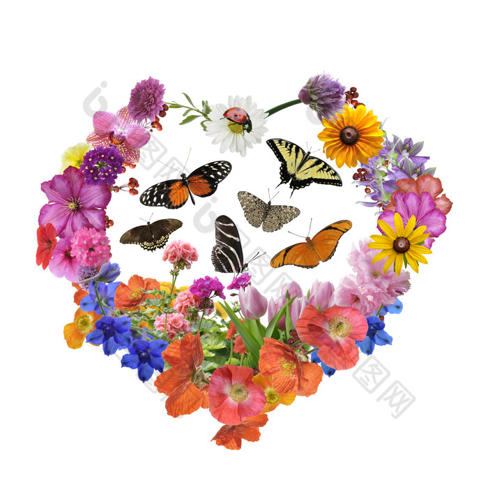 清新花环中的蝴蝶摄影图