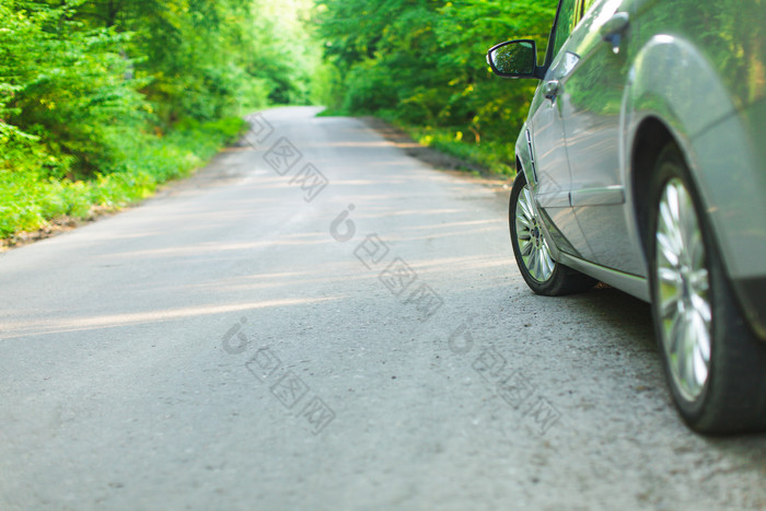 汽车行驶在树林道路上