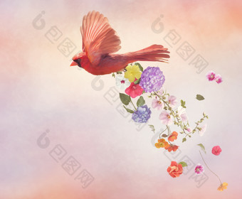 飞翔的红色鸟和<strong>彩色</strong>花朵
