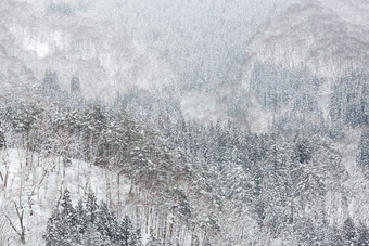 冬天冬季山林摄影图