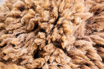 绵羊毛毛皮摄影图