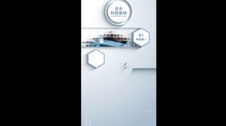 简洁企业信息分类短视频AE模板