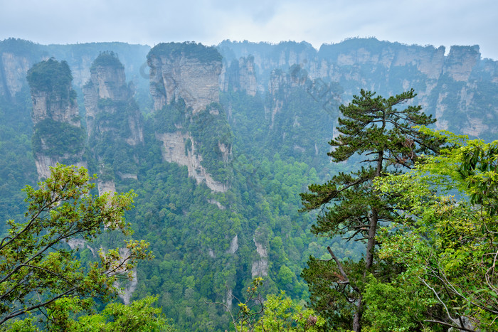 张家界山峰风景摄影图片