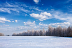 冬季雪地摄影图片