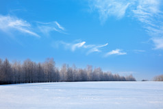 冬天雪地远景摄影图片