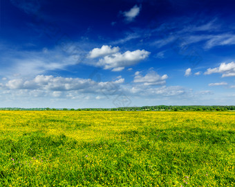 <strong>夏天背景</strong>后景隐蔽的