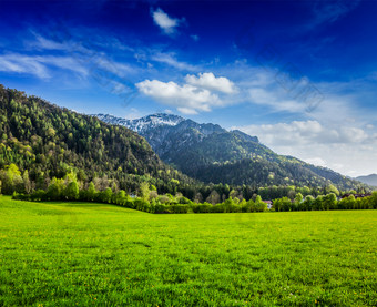 巴伐利亚德国阿尔卑斯山脉低草地