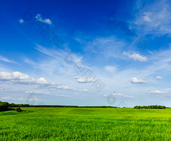 夏天明亮的光明的<strong>辉煌</strong>的