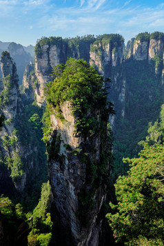 张家界山顶植物摄影图片