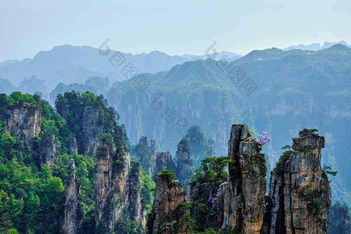 张家界山峰远山摄影图片