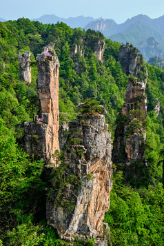 张家界森林山峰摄影图片