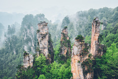 张家界植被风景摄影图片