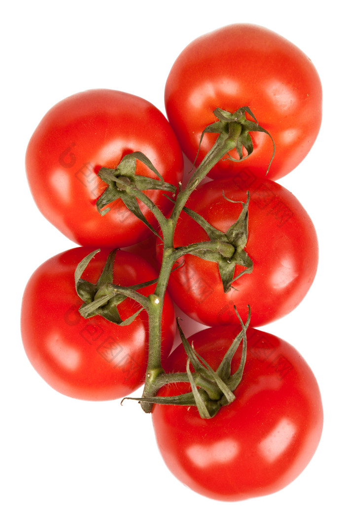 俯视一串番茄摄影图片