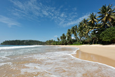 海滩椰子树海景摄影图