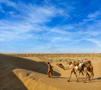 蓝<strong>天下</strong>沙漠里的几匹骆驼
