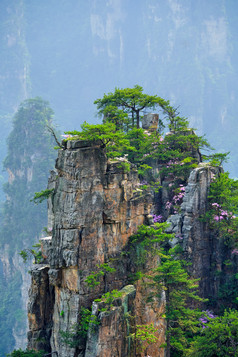 美丽的风景摄影图片