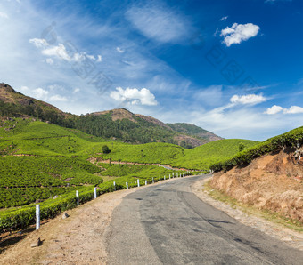 山间绿色茶田道路