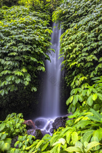 大自然山间森林中的瀑布摄影图