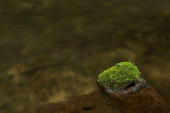 流水中岩石上的青苔摄影图片