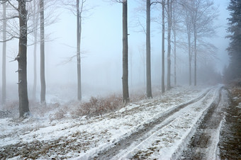 户外景色冬季大雪后的路摄影图片