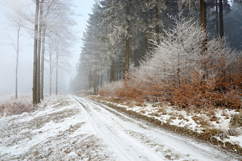 冬季雪后的路摄影图片