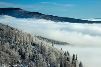 远山云海松木结霜壮观风景摄影图