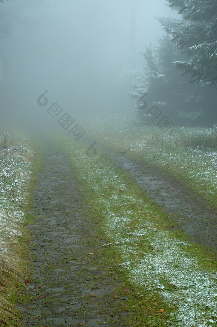 冬季多雾天气的林间小路摄影图片