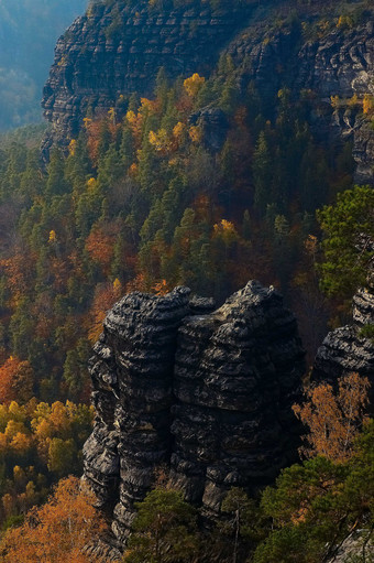 秋天秋季山崖森林风景摄影图