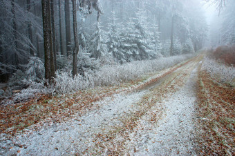 户外景色冬季大雪后的小路摄影图