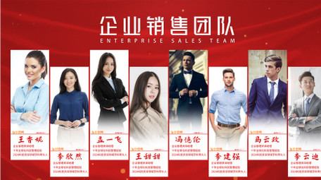 简约高级质感团队介绍AE模板