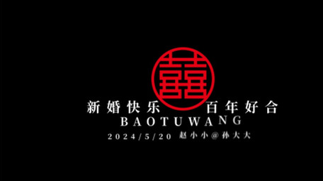 大气婚礼纪实标题字幕AE模板