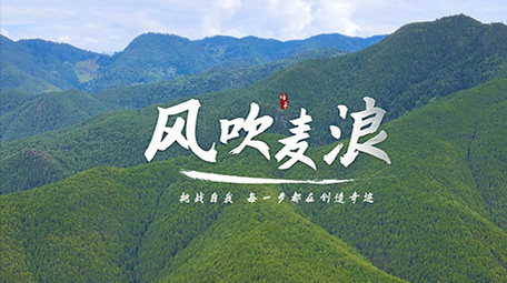 极简AE模板水墨标题字幕花字