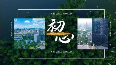 简洁大气年会高端分屏快闪展示AE模板