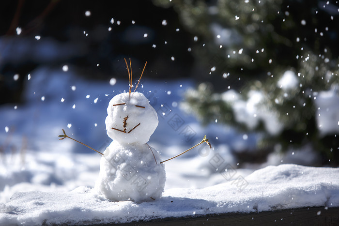 雪中的一个可爱的小雪人