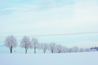 雪地漫漫山坡树木<strong>延伸</strong>图