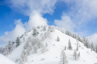 云雾散开后的蓝天和雪山山坡和树