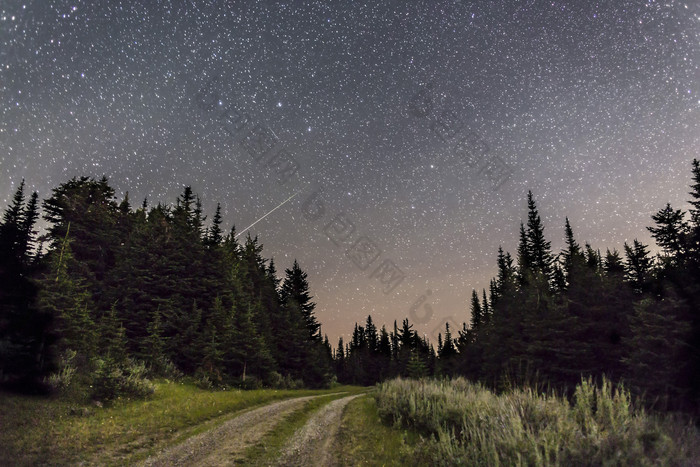 夜晚星空下通向森林的一条小路