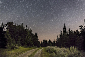 夜晚星空下通向森林的一条小路