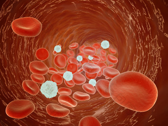 血红蛋白细胞示例插图
