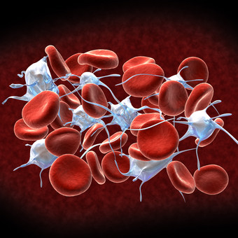 微生物血红蛋白<strong>细胞</strong>示例插图