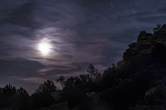 树林月光<strong>夜空</strong>风景插图