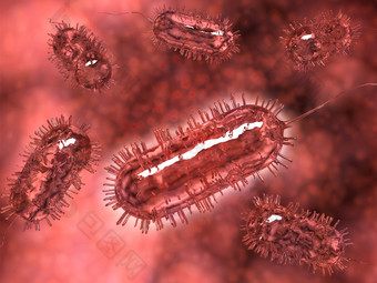生物杆菌细胞示例图