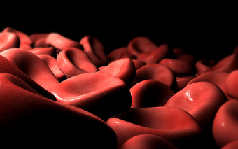 血液蛋白细胞示例图